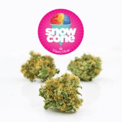 Snowcone | Sativa