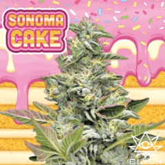 SONOMA CAKE (3.5G)[I]
