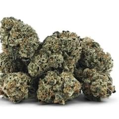 STICKY WASABI SMALLS | 3.5