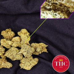 Strawberry Blonde (treeline)