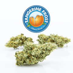 Tangerine Frost | Sativa