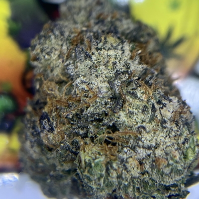 EXOTIC- TROPICAL HEAT