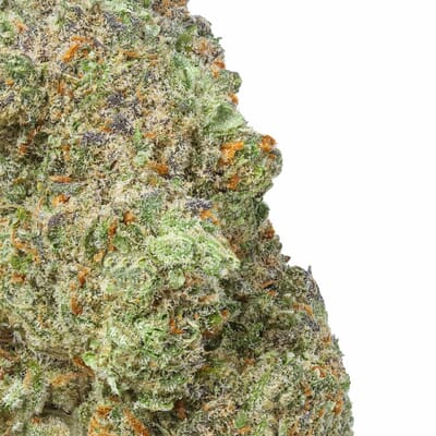 Green Crack - Sativa THC 24%