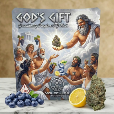 God's Gift
