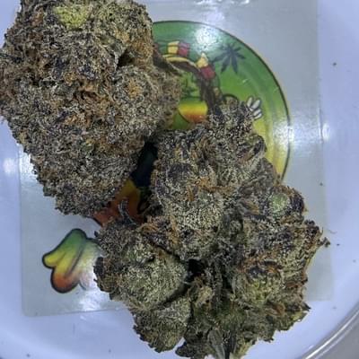 EXOTIC- BLUE RASPBERRY GELATO