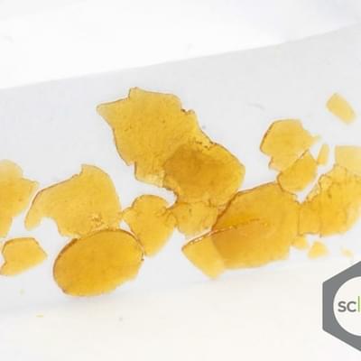 FTEE GOD'S GIFT NUG RUN