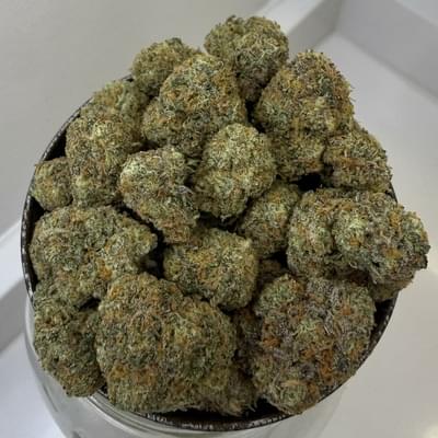 The Baker | Blueprint