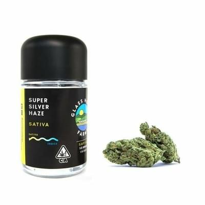Glass House Farms Super Silver Haze | 3.5