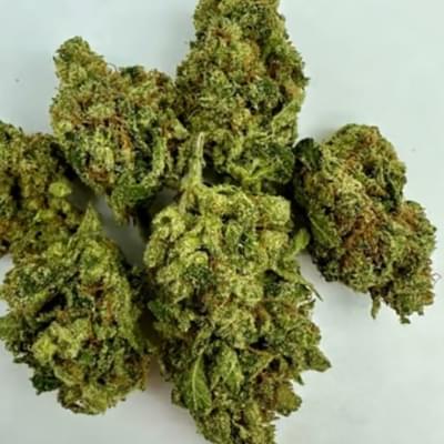 Sour Jack