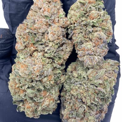 Bubba Kush - Indica THC 33%