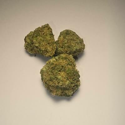 Afghan Skunk (PREMIUM)