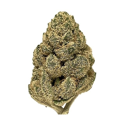 OG Kush – Stress-Crushing