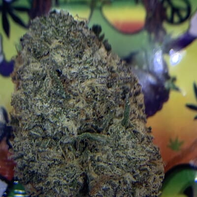 EXOTIC.-FRUITY PEBBLES