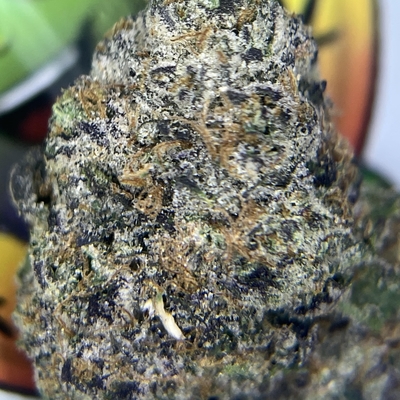 DESIGNER— RAINBOW POPPERS