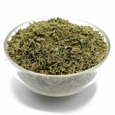 Shake (PREMIUM)