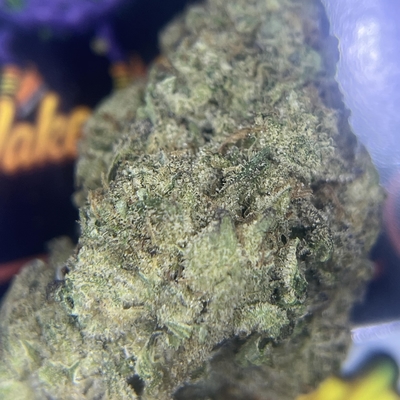 TOPSHELF- PINK ZUSHI