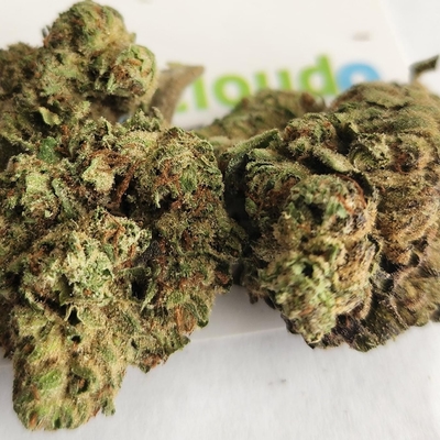 Gusher - A+ Topshelf