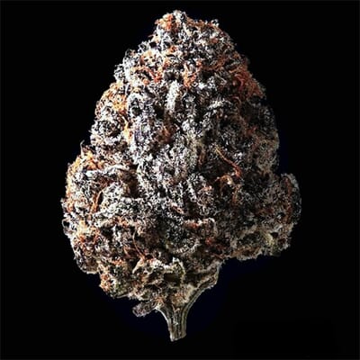 Cherry Pie