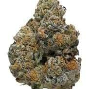 Cookie Monster (EXOTIC A+)