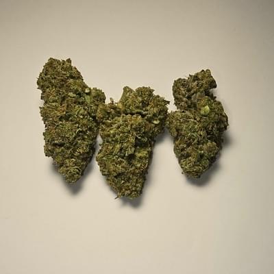 Ghost Train Haze (PREMIUM)