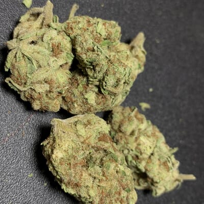 Exotic White Widow
