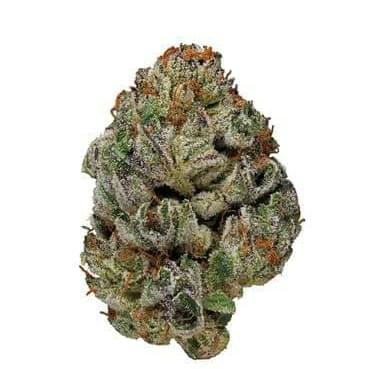 Blue Alien Kush (EXOTIC A+)