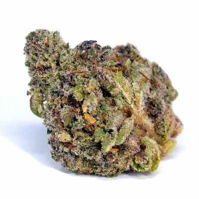 Purple Punch Indica | Top Shelf Flower