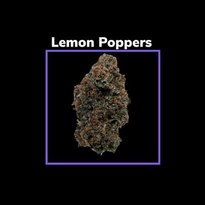 Lemon Poppers ******
