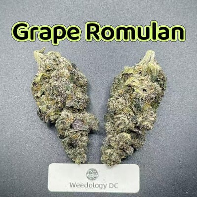 Grape Romulan---Exotics