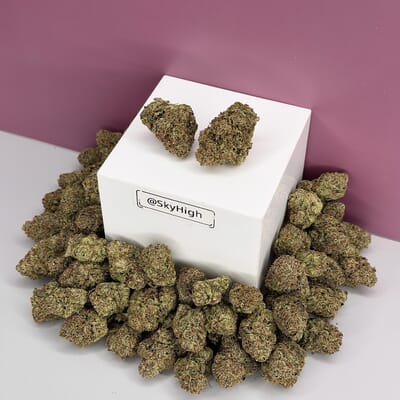 Bubba Kush-Exotic A+