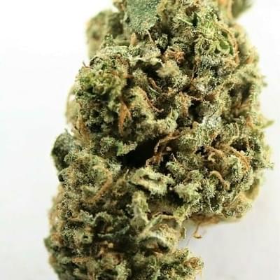 PANTY DROPPER - 5 GRAMS