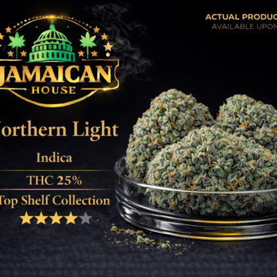 Northern Light TS