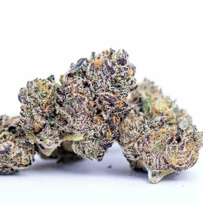 Purple urkle