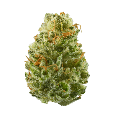 Strawberry Cough (AAA+)