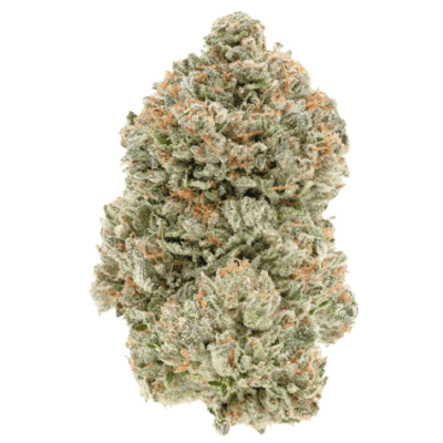 1964 - Organic Pink Kush 7g >I