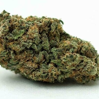 Mazar x Blueberry OG