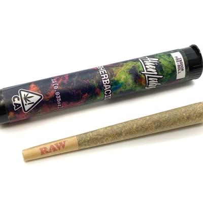 Pre-roll single - Sherbacio (1g)