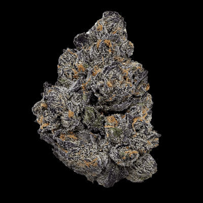 Nightshade