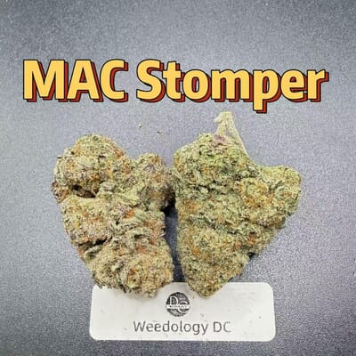 MAC Stomper---Top Shelf