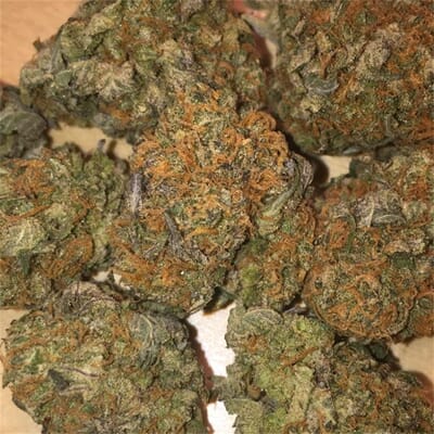 Guava OG - Indica THC 22%