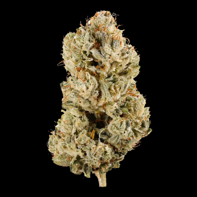Diesel
