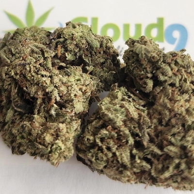 Doggy Style - A+ Topshelf