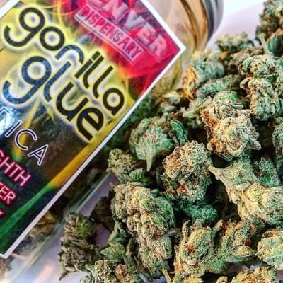Gorilla Glue #4