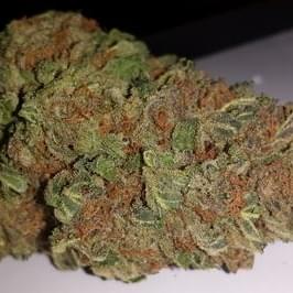 Purple Fire OG