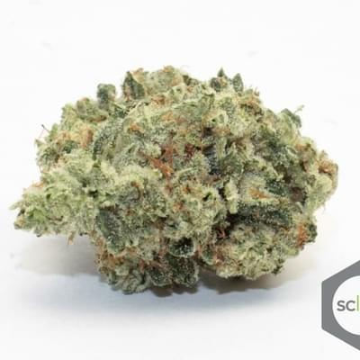 Caesar's OG