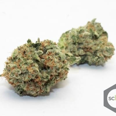 XXX Abusive OG