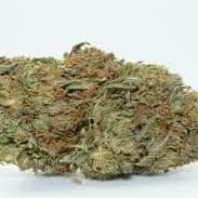 Lemon Diesel (PREMIUM)