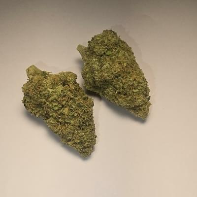 Durban Poison (PREMIUM)
