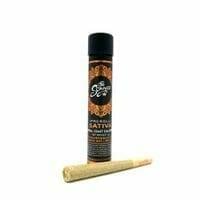 The Source CC Mimosa Indoor Preroll | 1g