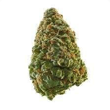 OG Kush
